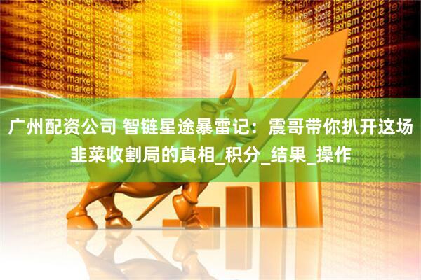 广州配资公司 智链星途暴雷记：震哥带你扒开这场韭菜收割局的真相_积分_结果_操作
