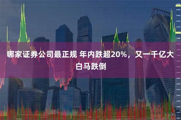 哪家证券公司最正规 年内跌超20%，又一千亿大白马跌倒
